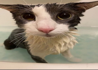 Soggy